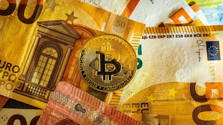 The Digital Euro: Operational Architecture and Banking Sector Implications